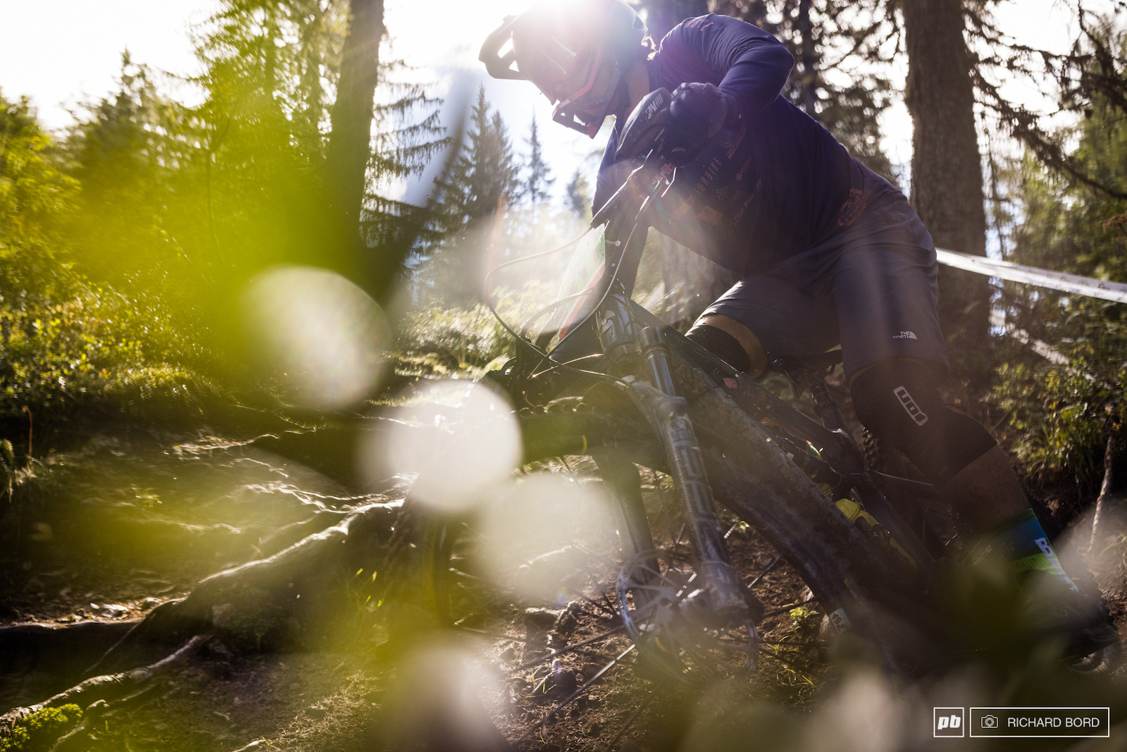 Sorry, just the photographer here playing with light in the beautiful forest of Stage 1.