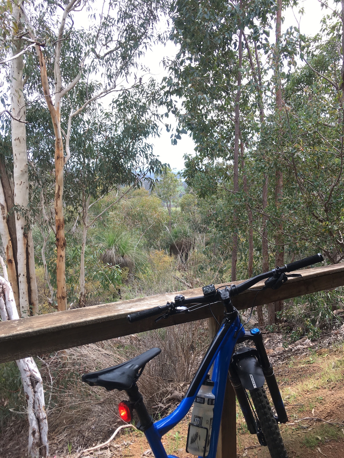 North Dandalup Dam and the stunning view from the nearby Munda Biddi campsite