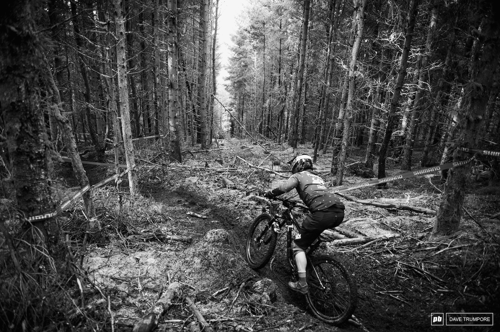 The open bits in the woods might be nice and bright but it makes seeing where you are going that much harder when you dive back into the darkness