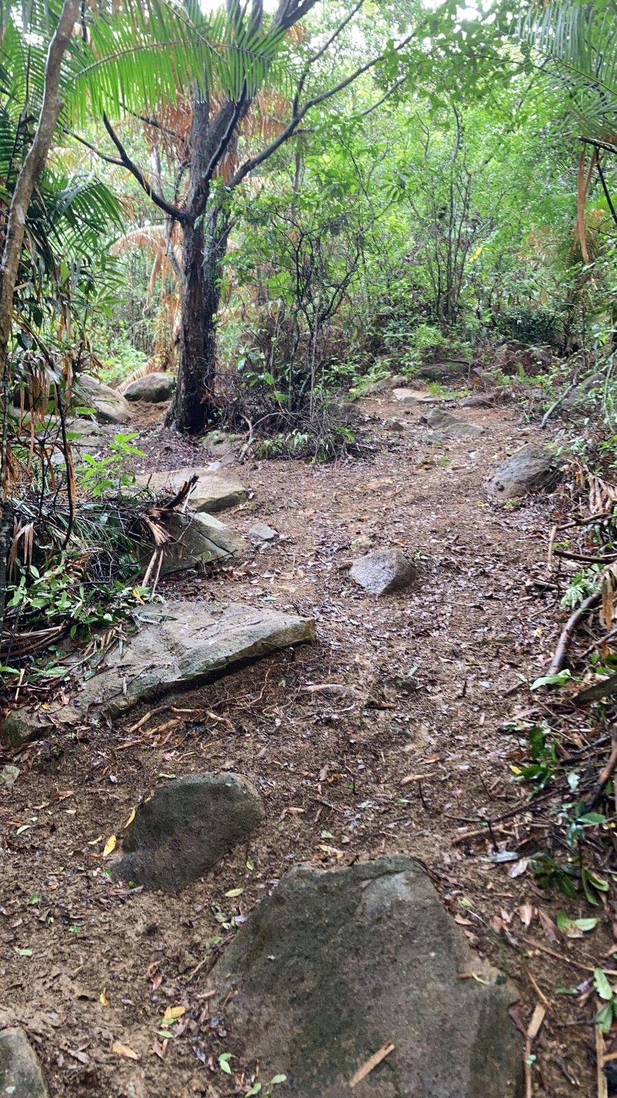 Rockgarden