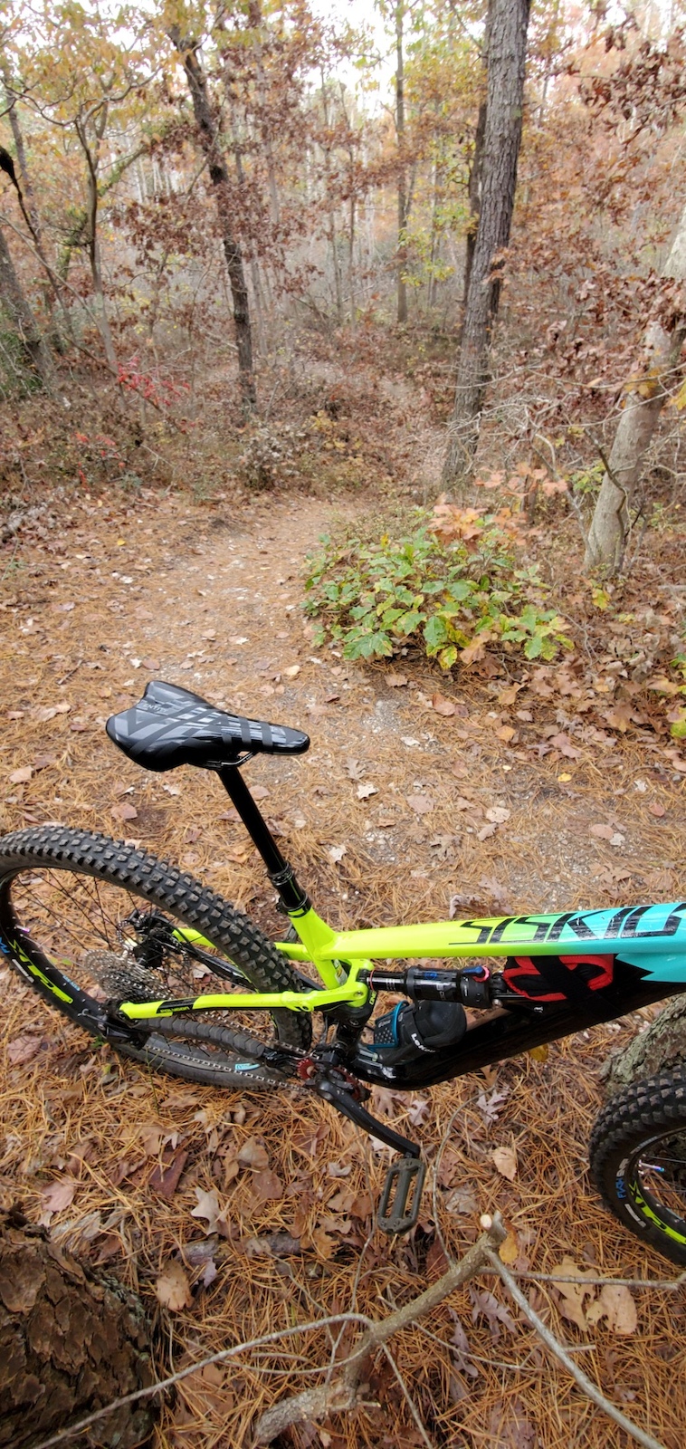 A mountain bike resting on a forest floor covered in brown fall leaves.