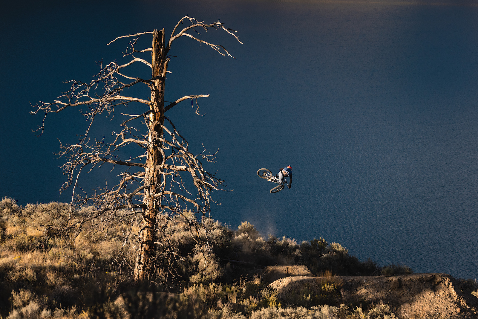 Robb Thompson Photo