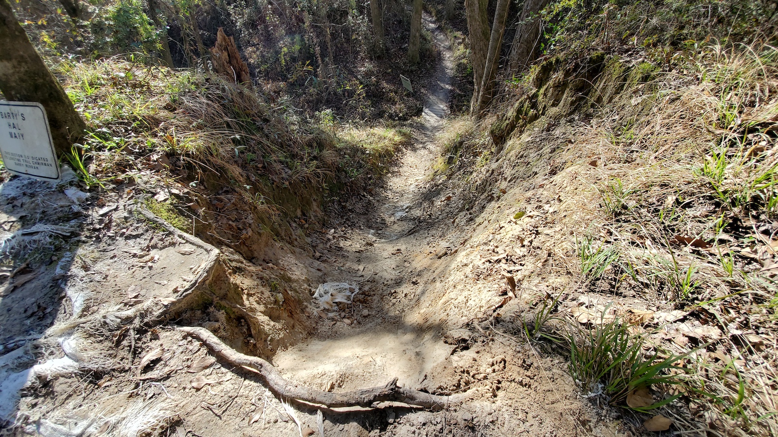 Sketchy black diamond section that I am too scared to comit to