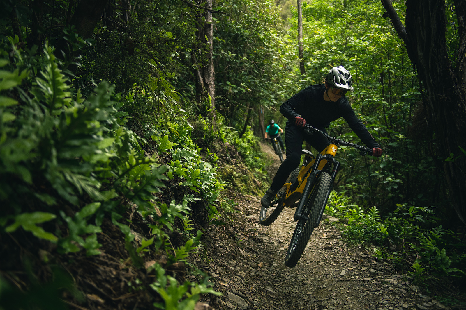Boosting through the vibrant greens on some flat out singletrack.