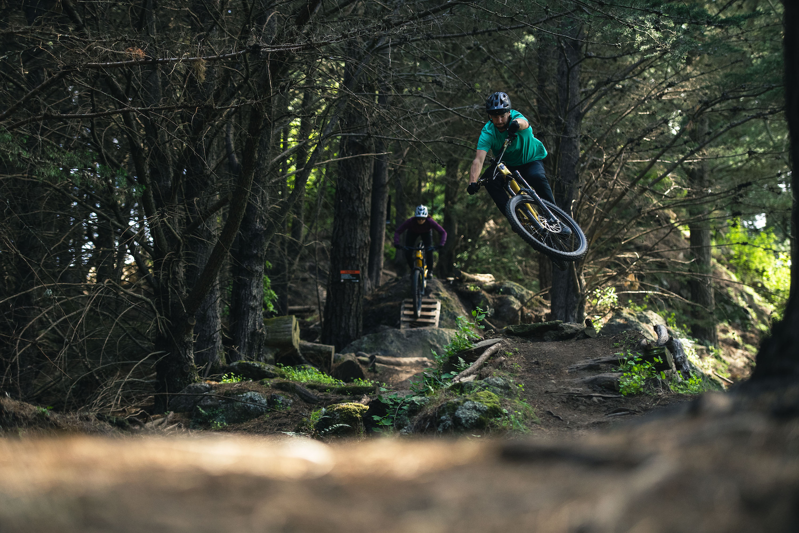 These trails are packed with fun little features.