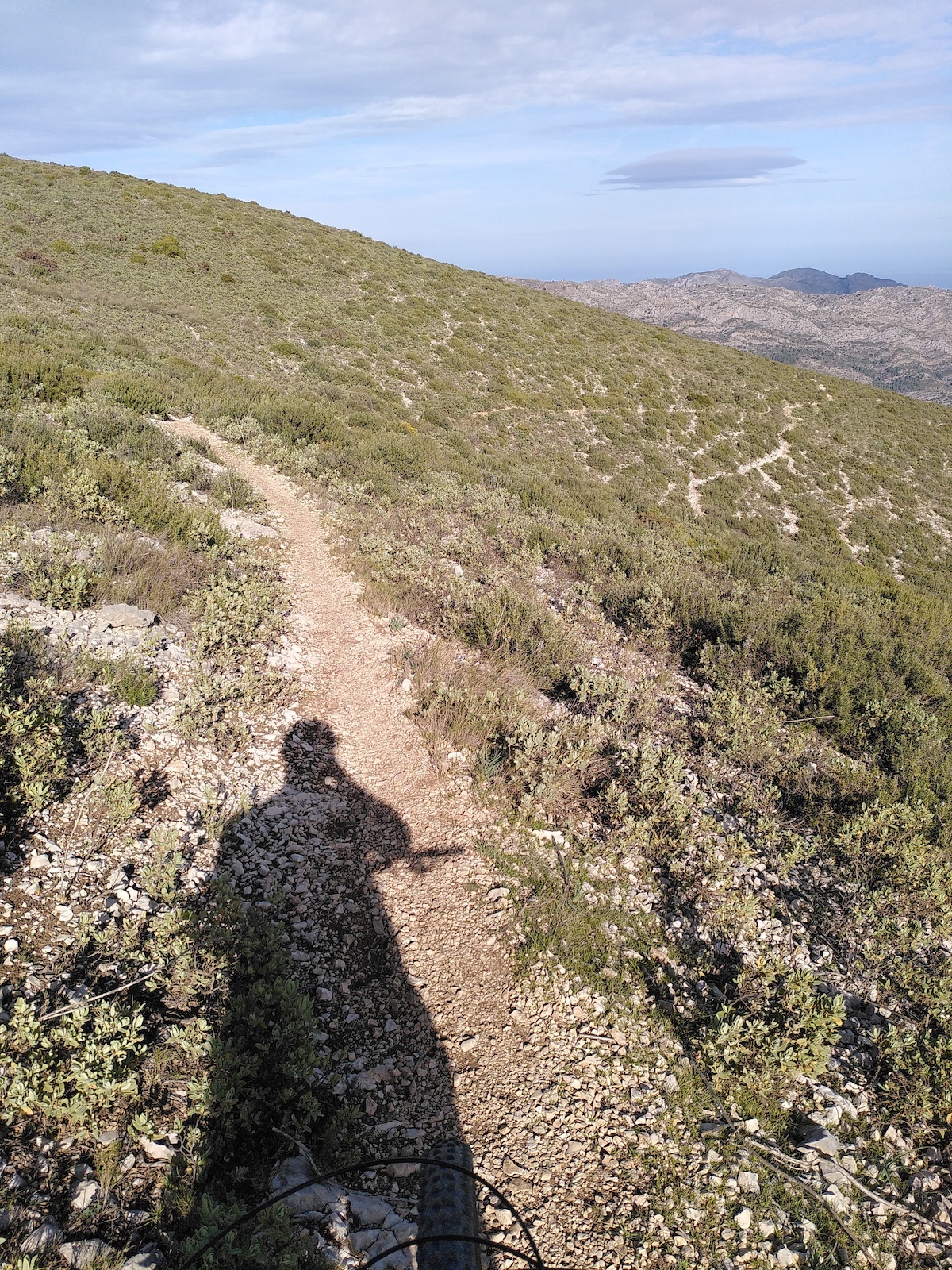 A mountain biker descending an alpine meadow trail with expansive valley views.