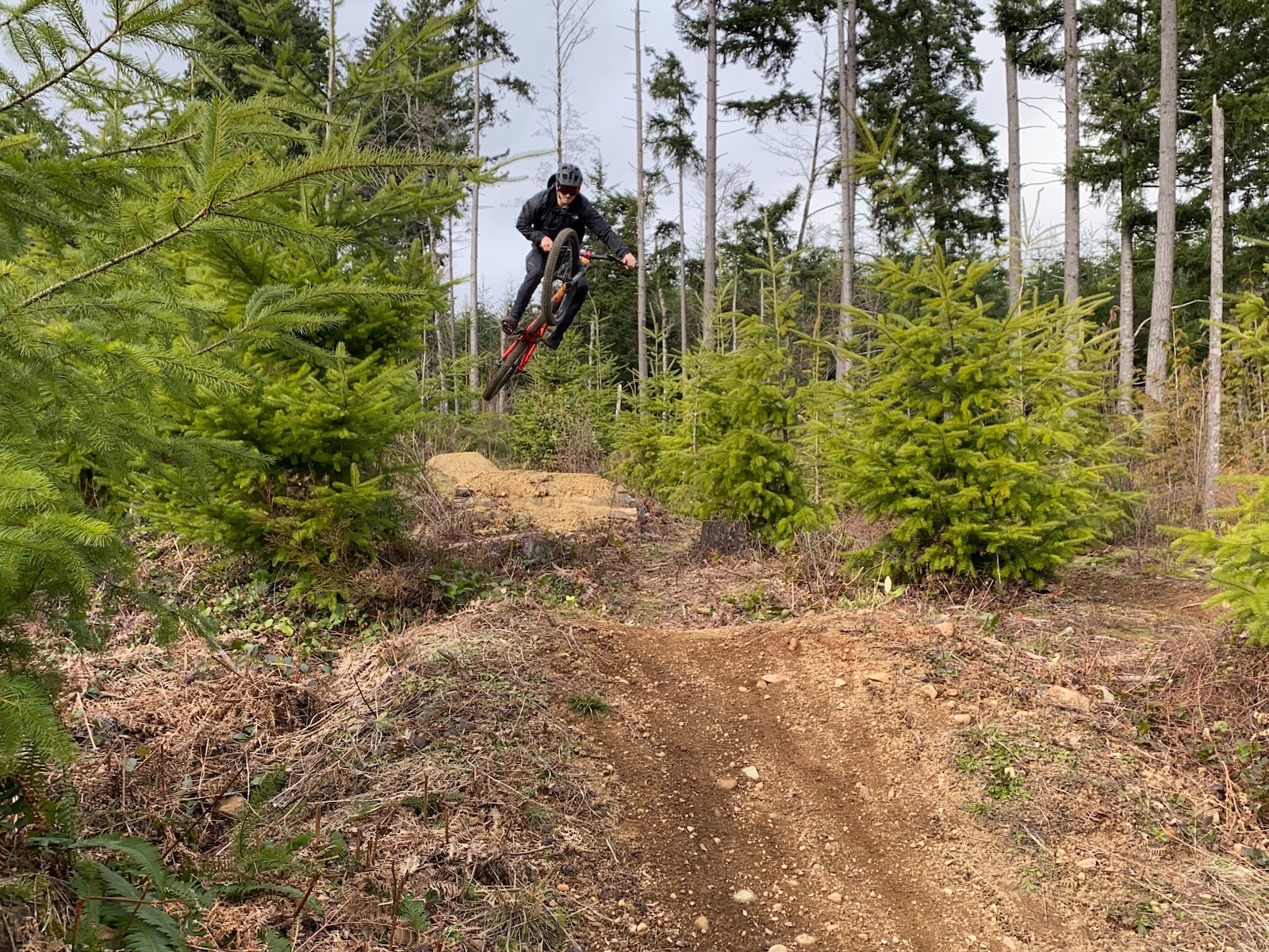 Mountain biker jumping through trees