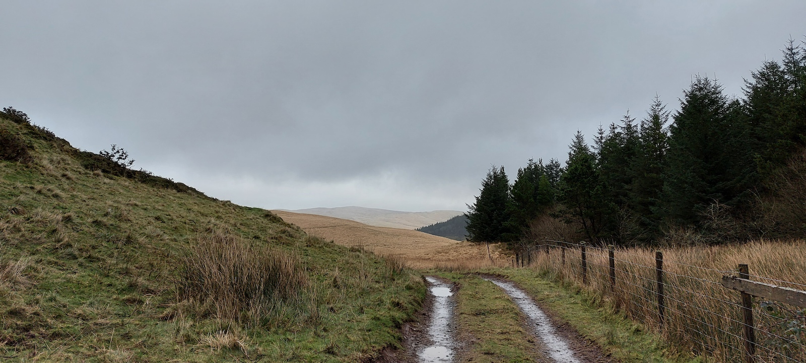 Of road tracks