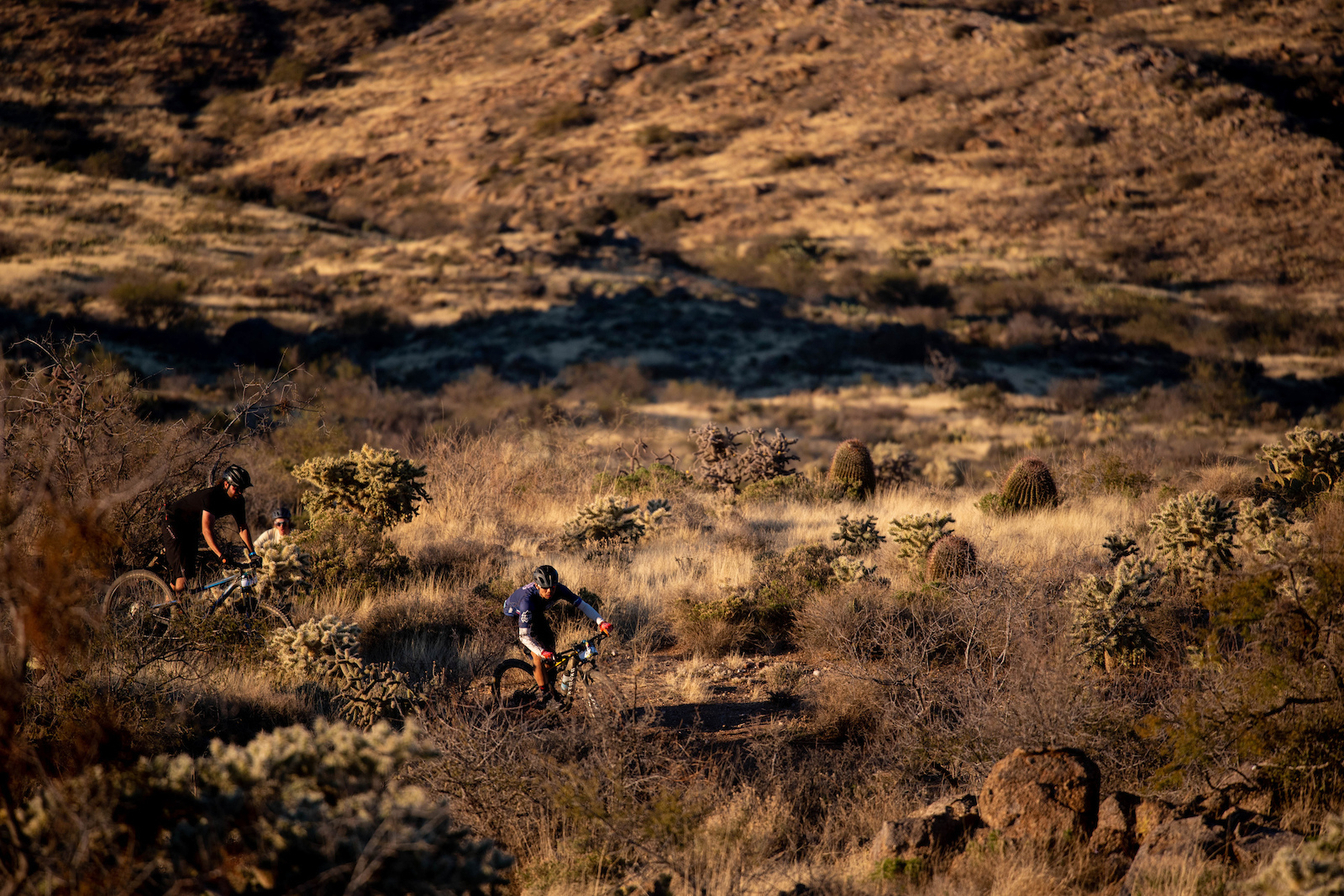 A sea of cactus surrounds racers on Saturday.