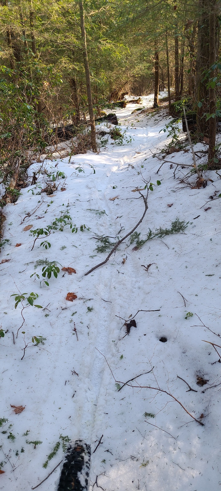 Holding out on the snow. This area is usually the last place I see snow for the year.