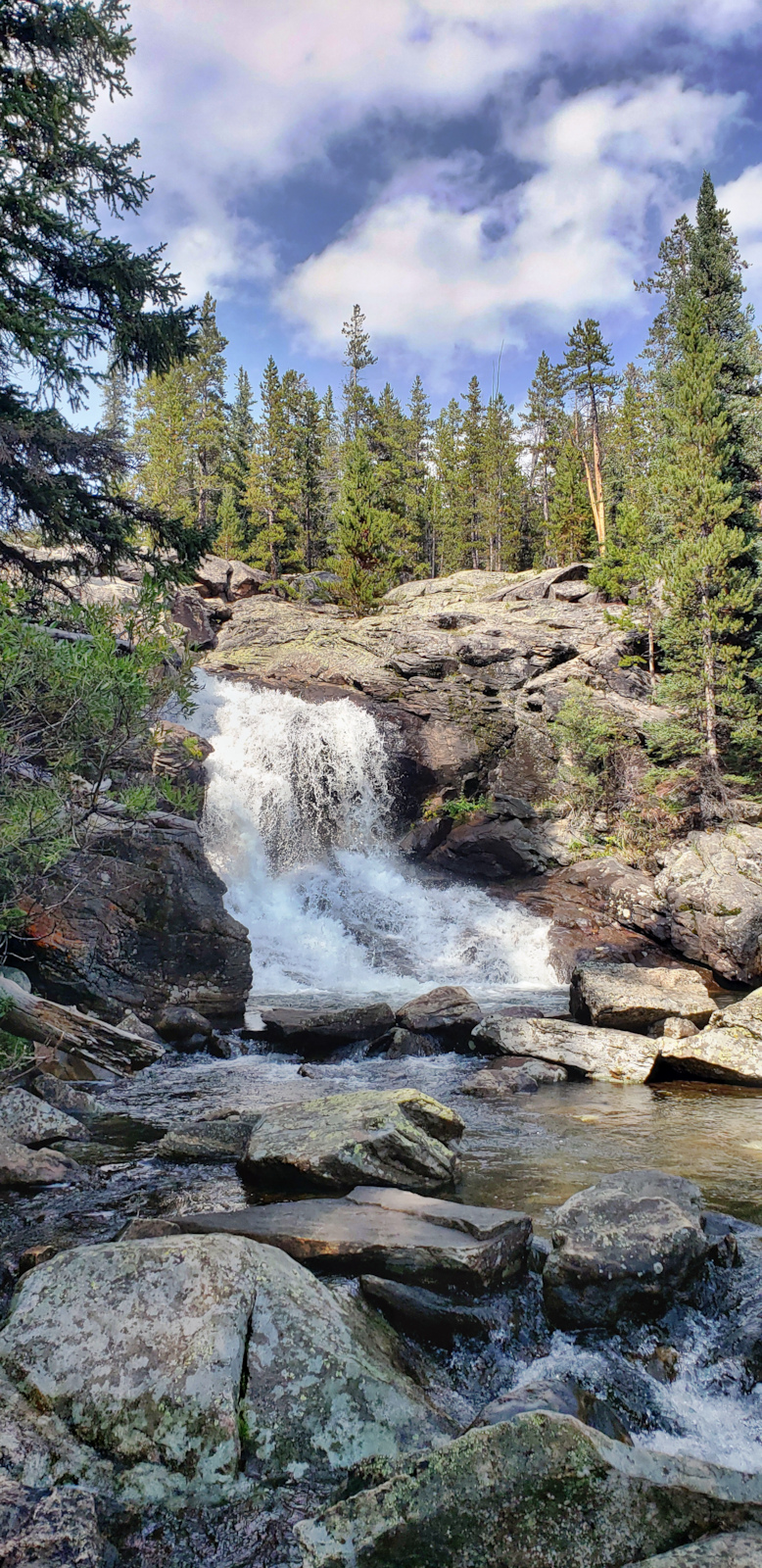 Small falls off the side of trail, Middle Tensleep Creek.
