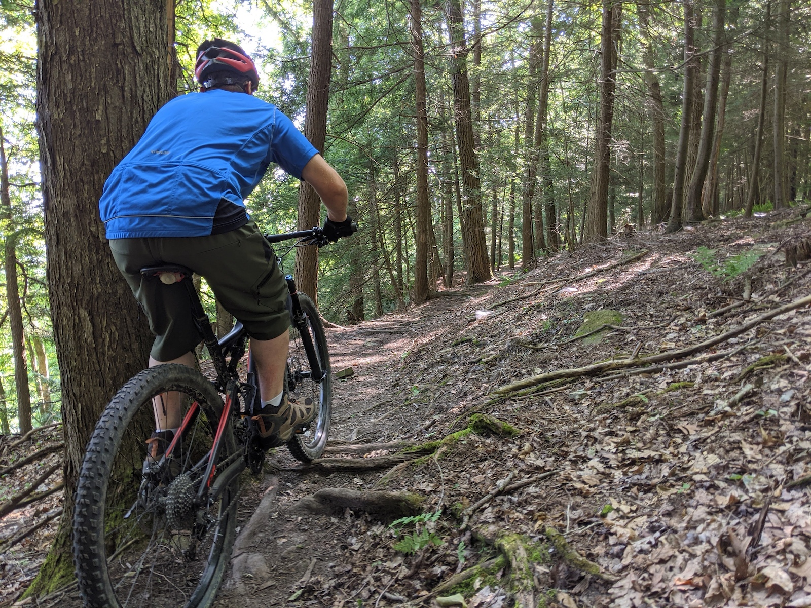 Window Trail