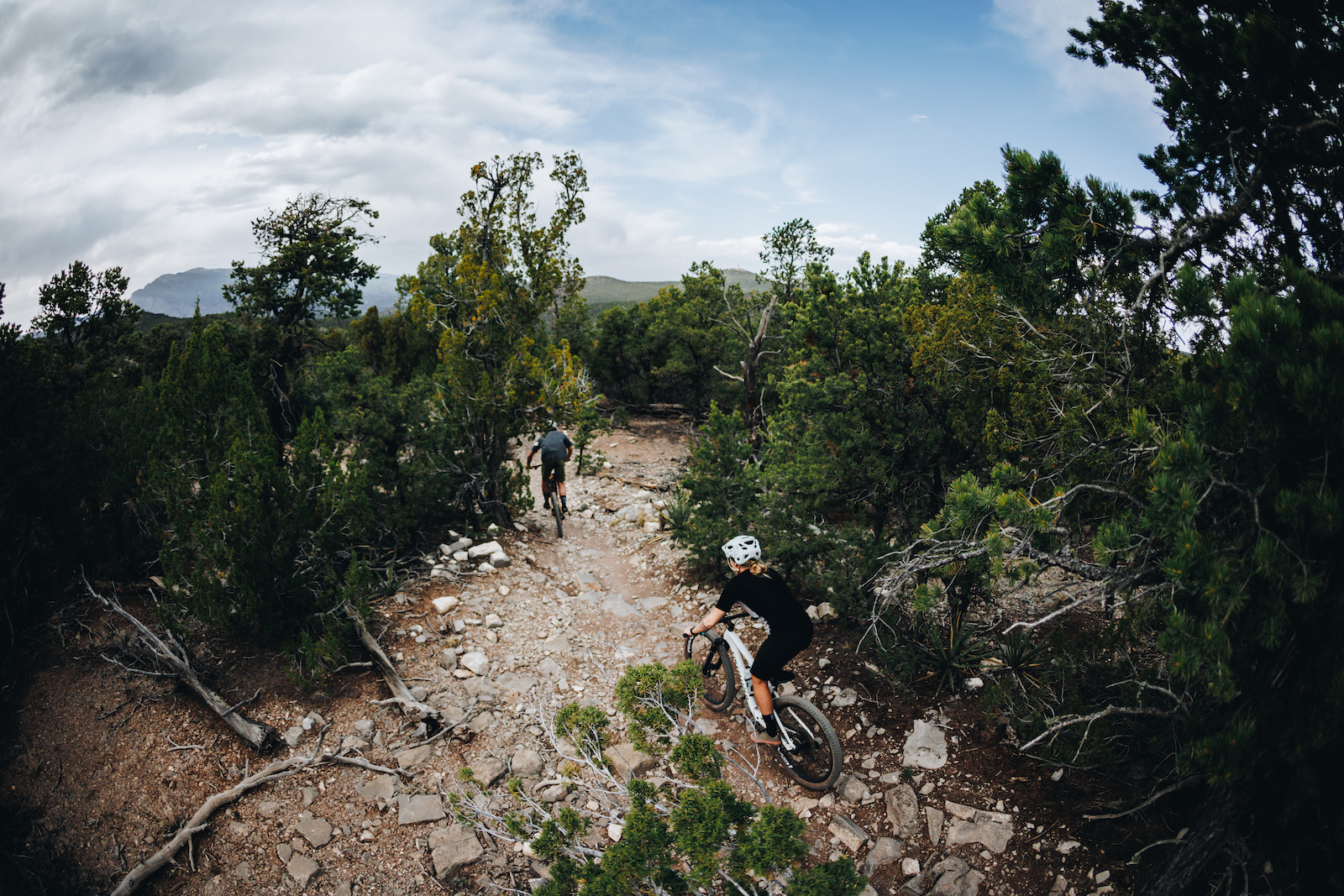 15+ Albuquerque Bike Trails