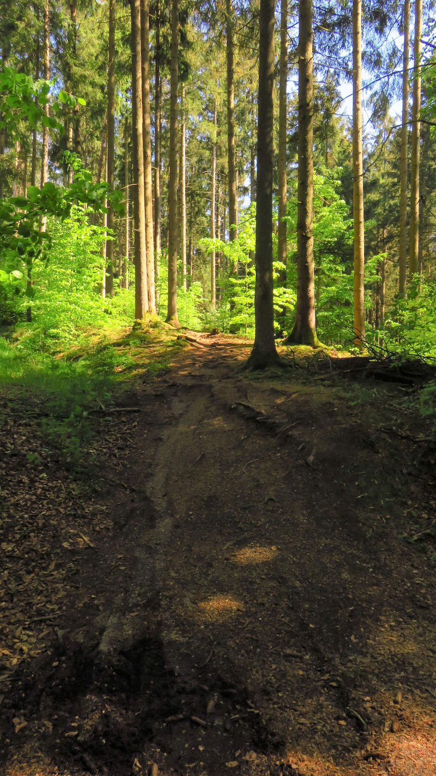 Eintritt Steinbergtrail Derching