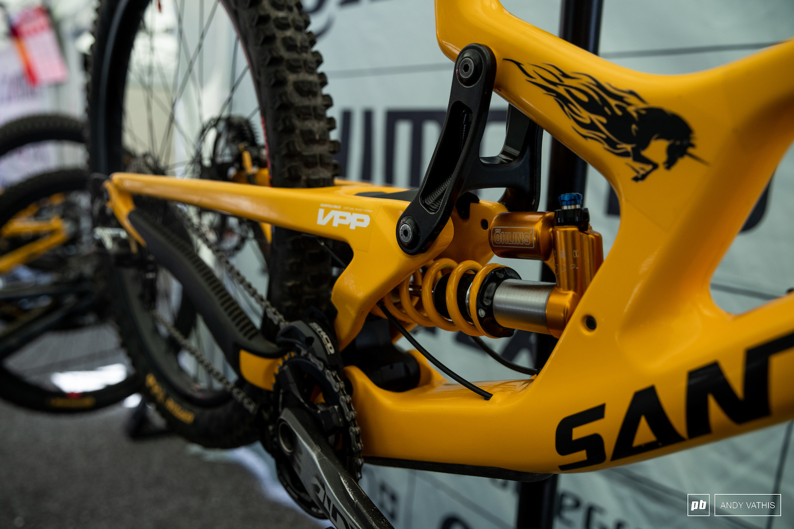 A closer look at the Ohlins gold on the PB sled.