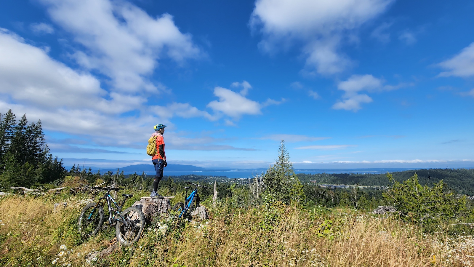 Looking toward Bellingham from the clearcut just west of the main trail.