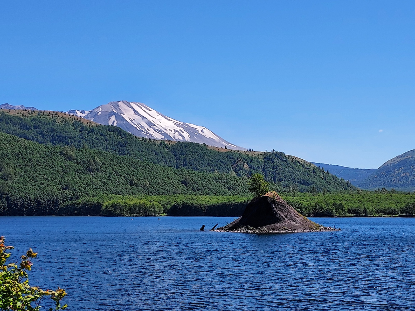 A hommocks island in the middle of Coldwater Lake. Mt Saint Helens in the background.
Avoid mountain biking this trail on the weekend due to foot traffic.