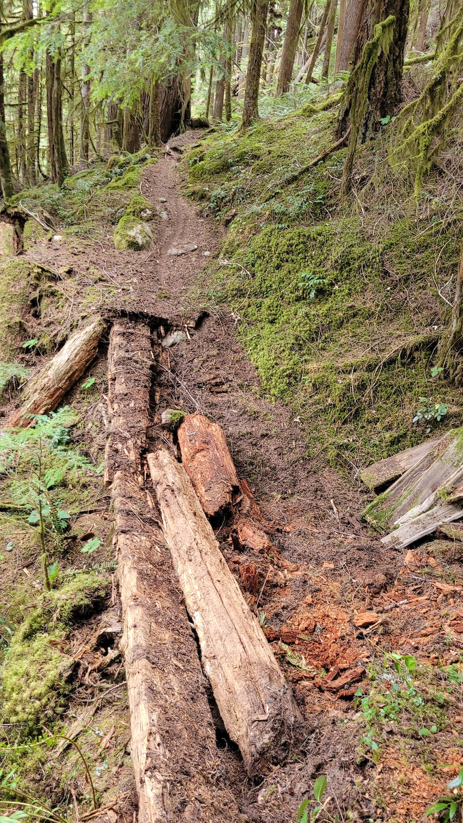 Decommissioned bridge on Further.  Bypass is not rideable.  Short hike-a-bike