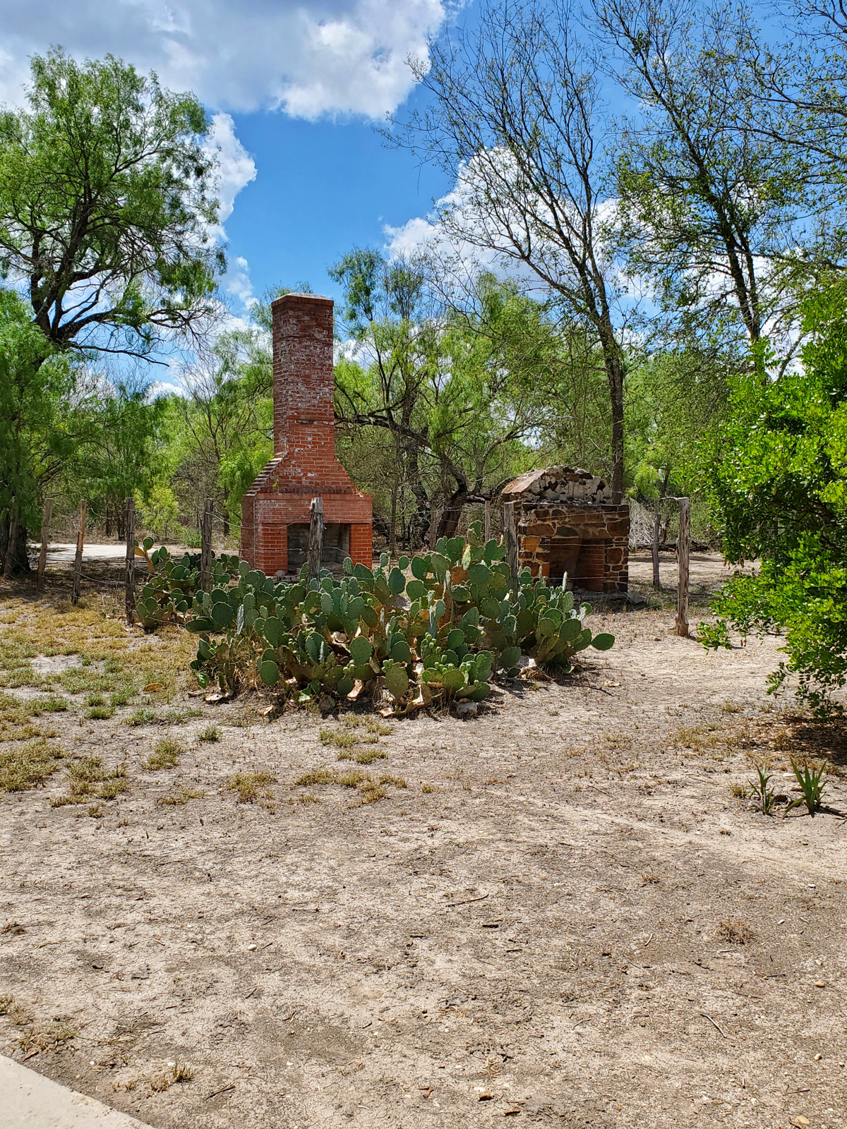 Homestead ruins