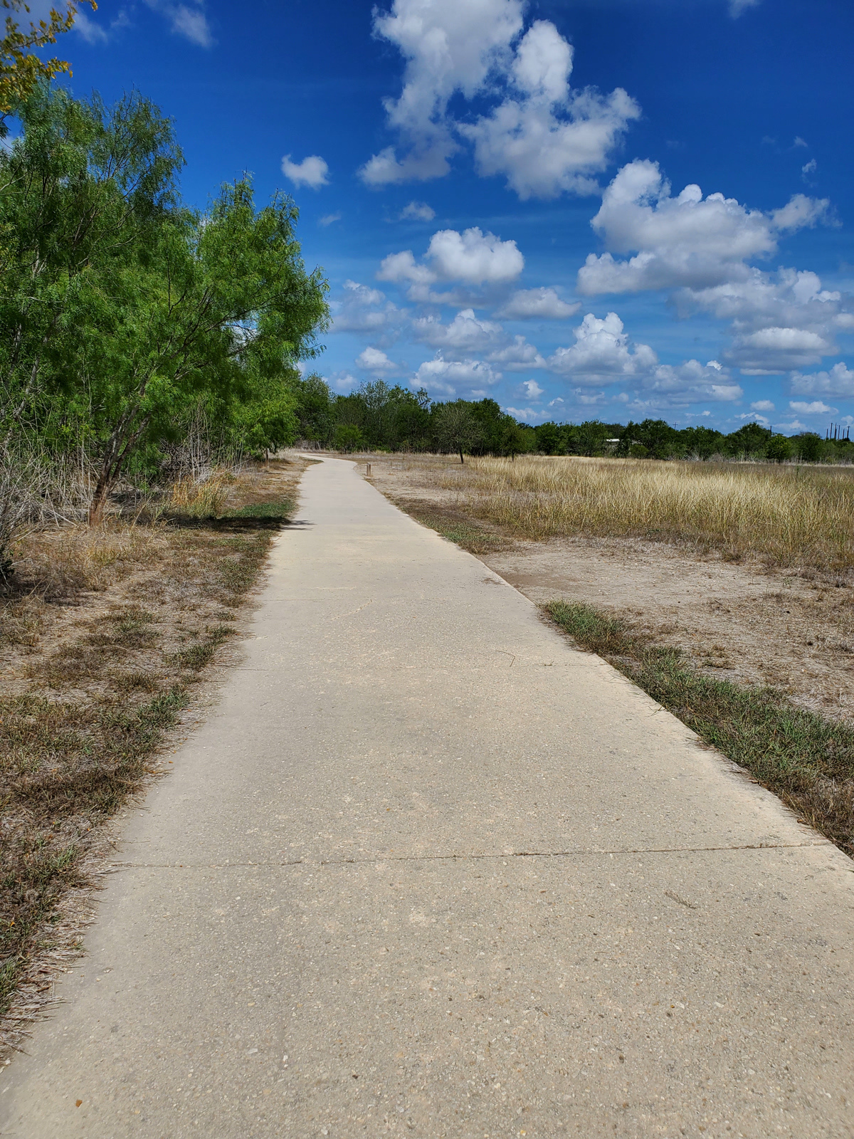 El Chaparall (Medina River Greenbelt) - this is the section between Rio Medina Trail and the parking lot