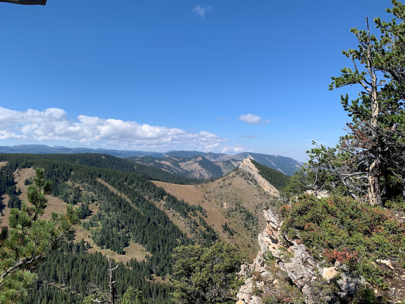 Rocky ridgeline view over forested valleys and distant mountains.