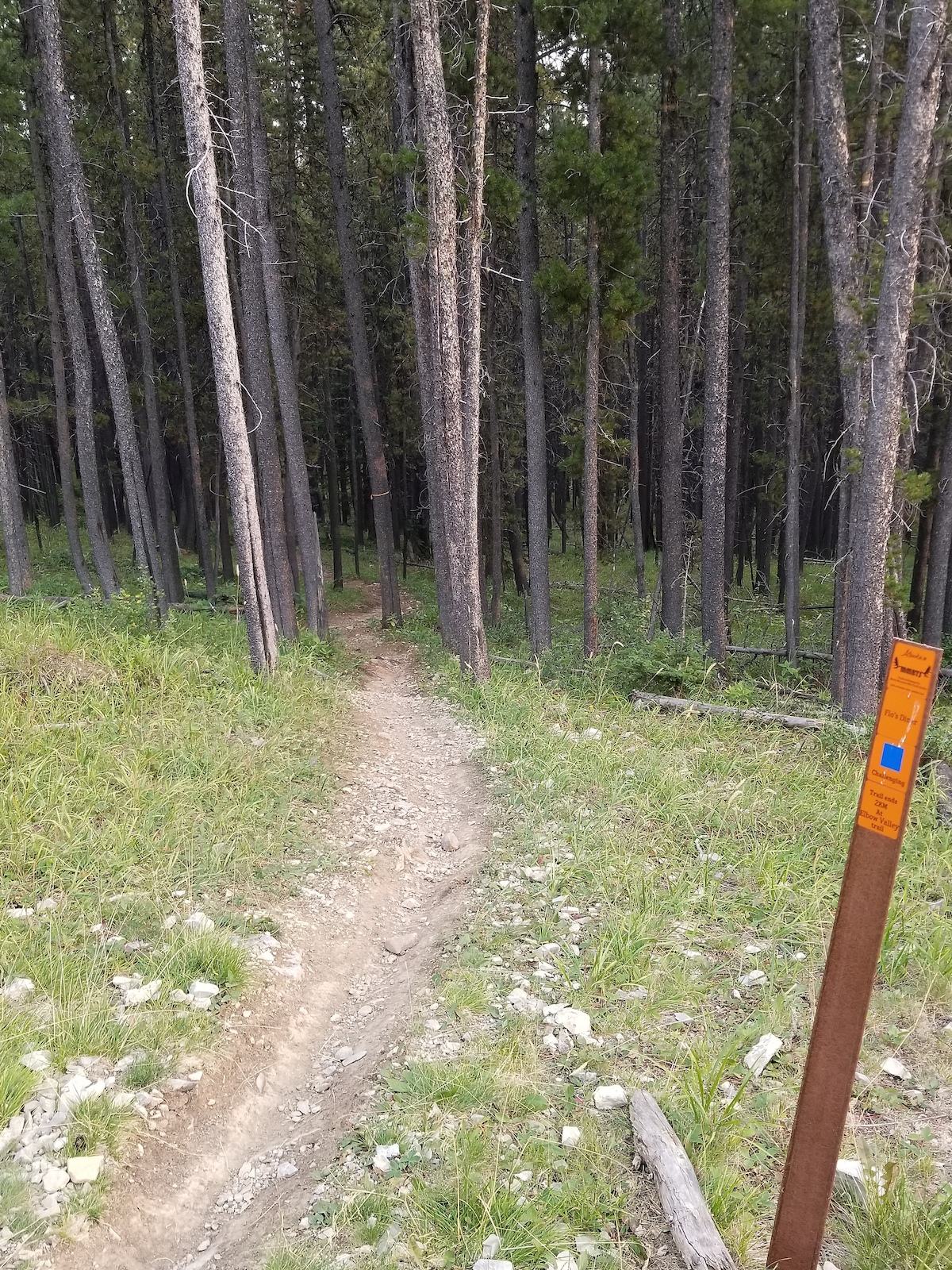 Trailhead looking down trail