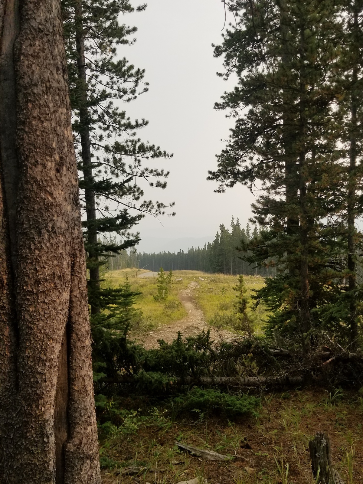 looking back at trailhead & Husky road