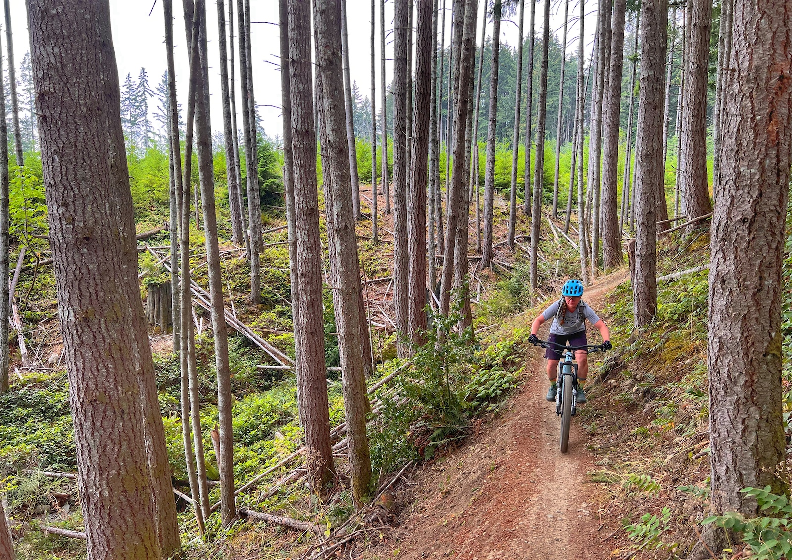 Mountain bike rider on south benson