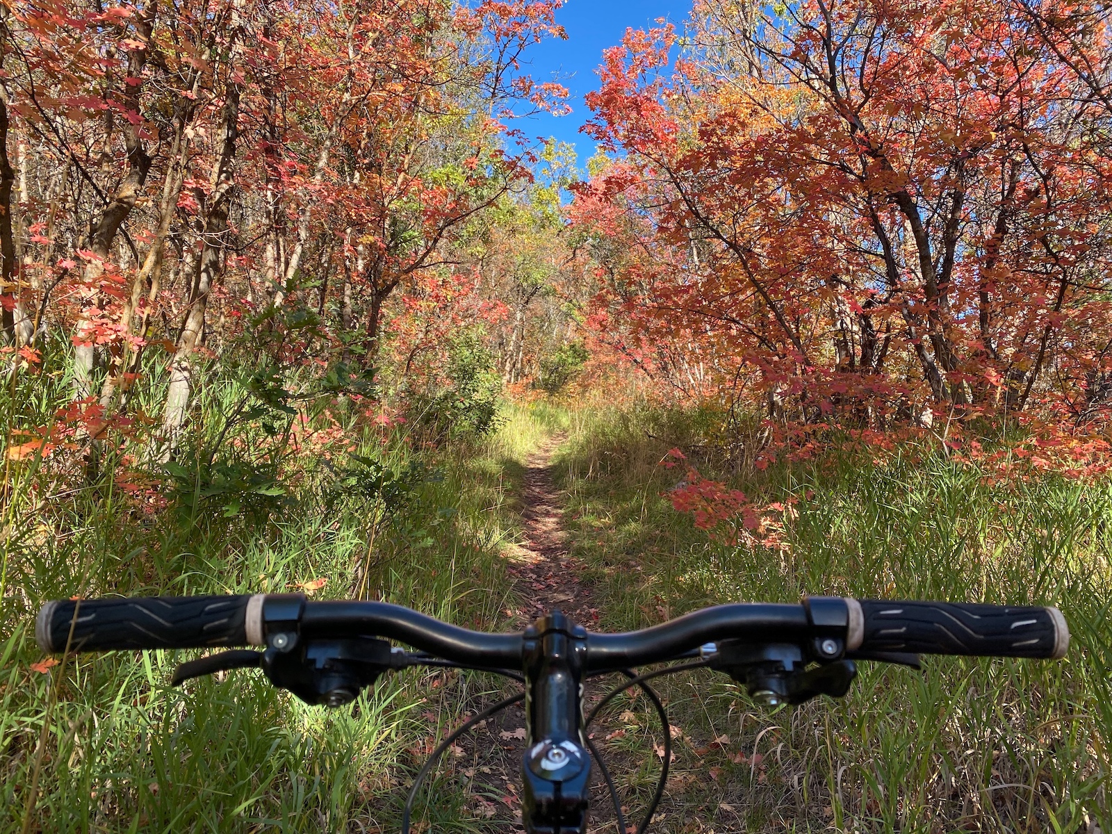 A first-person view from a bike handlebar of a trail through vibrant red and orange fall foliage.