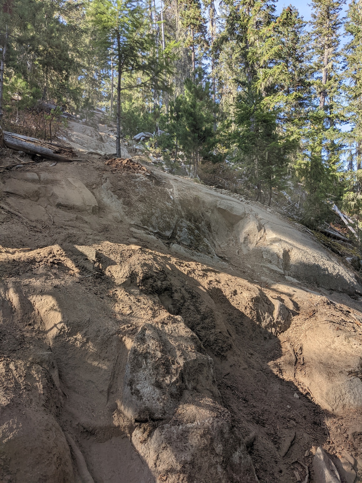 Exposed rock slabs and boulders on a forest trail with coniferous trees.