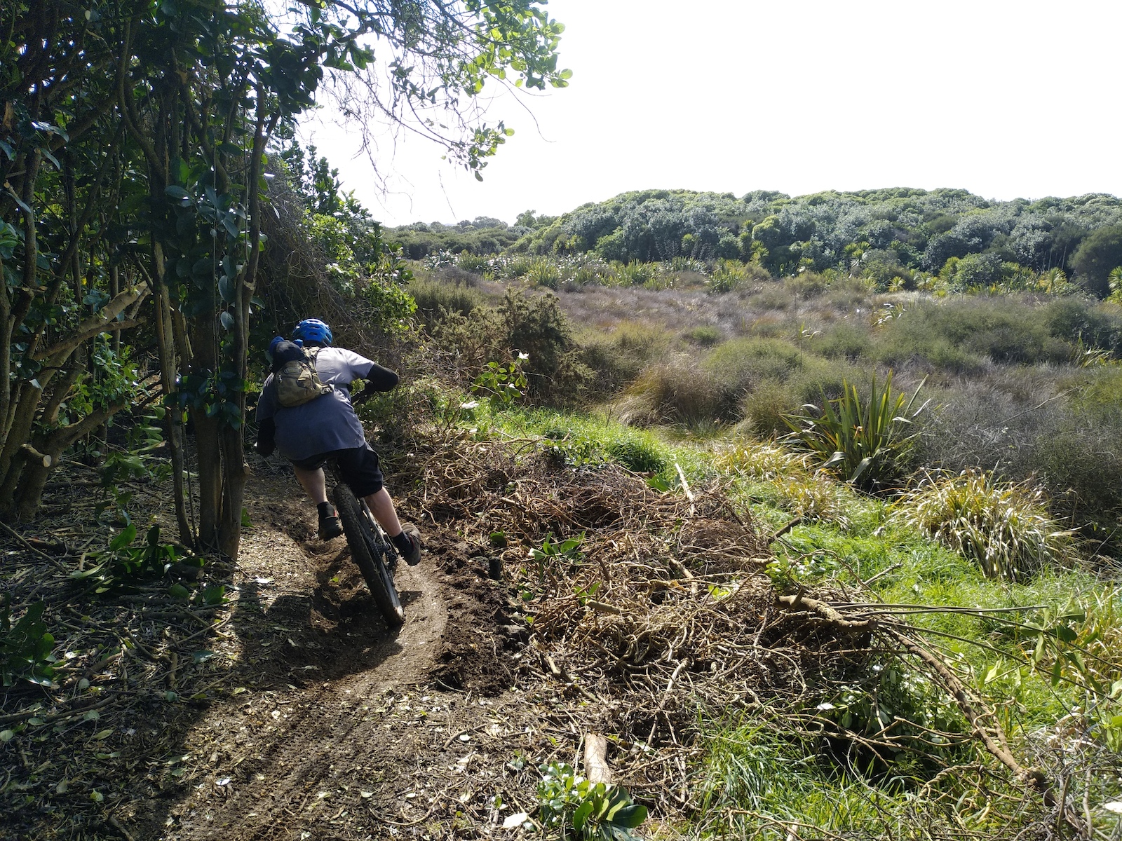 The track weaves around wetlands formed by a tidal creek.