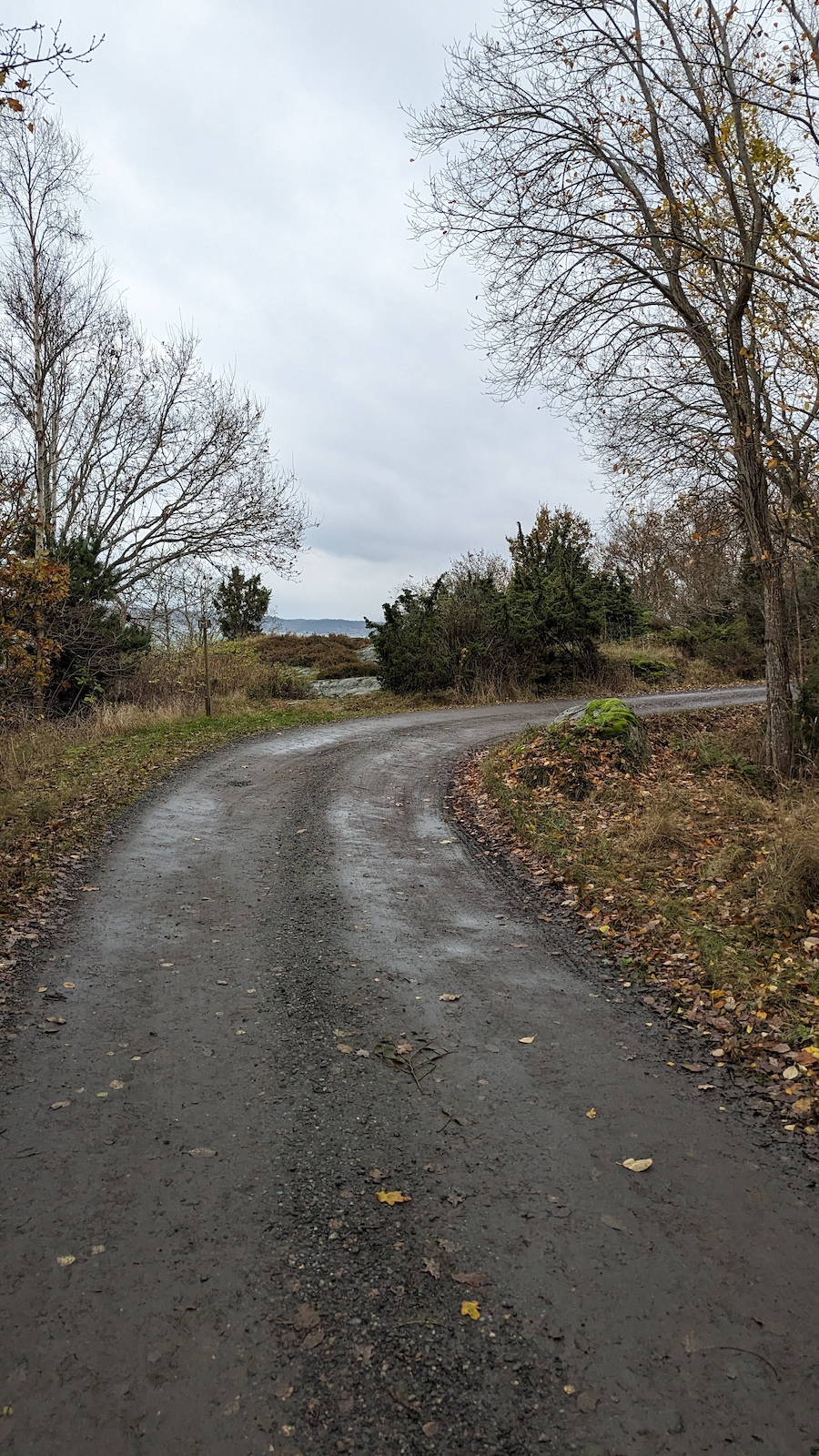 Looking south