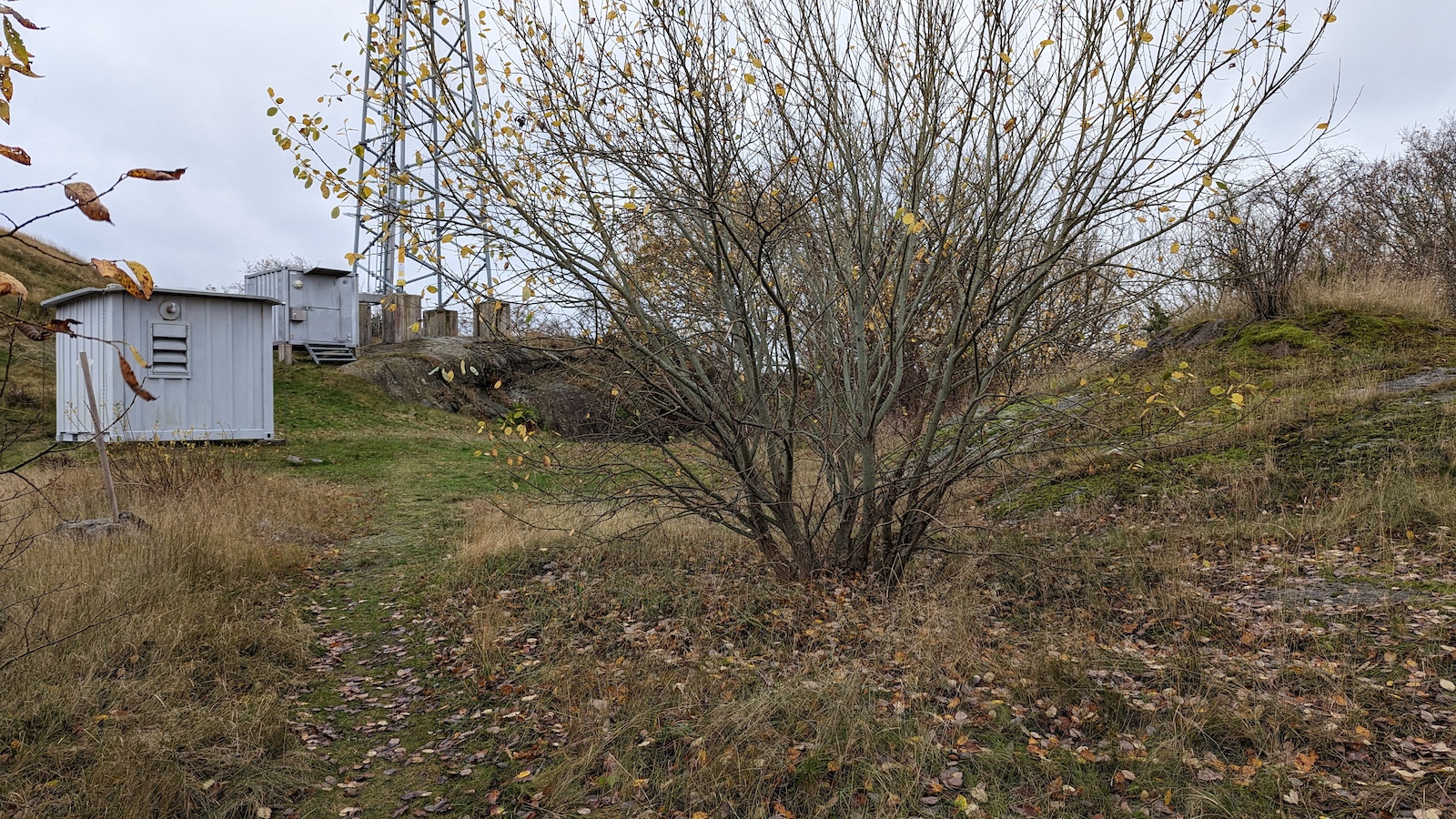 Björkö 23 (up the mountain) to the right and Björkö 10 (downhill with berms) starting to the left of the little grey house.