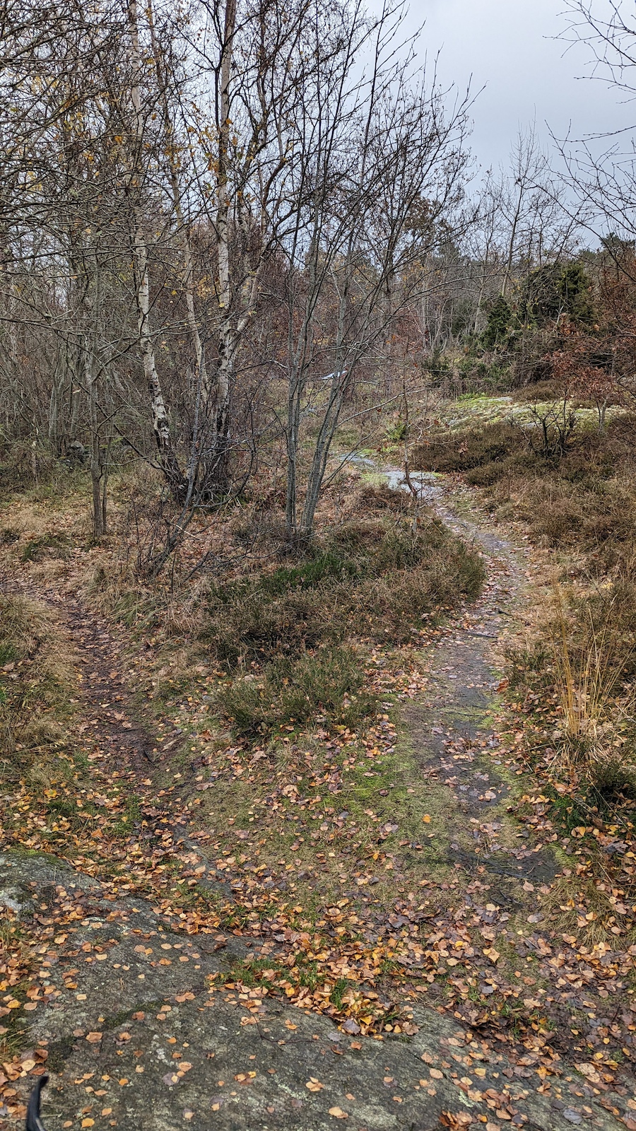 Looking north