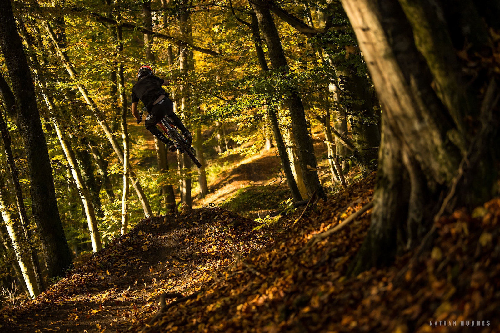 Photo Epic: The Dirt Farmer - At Home with David Trummer - Pinkbike