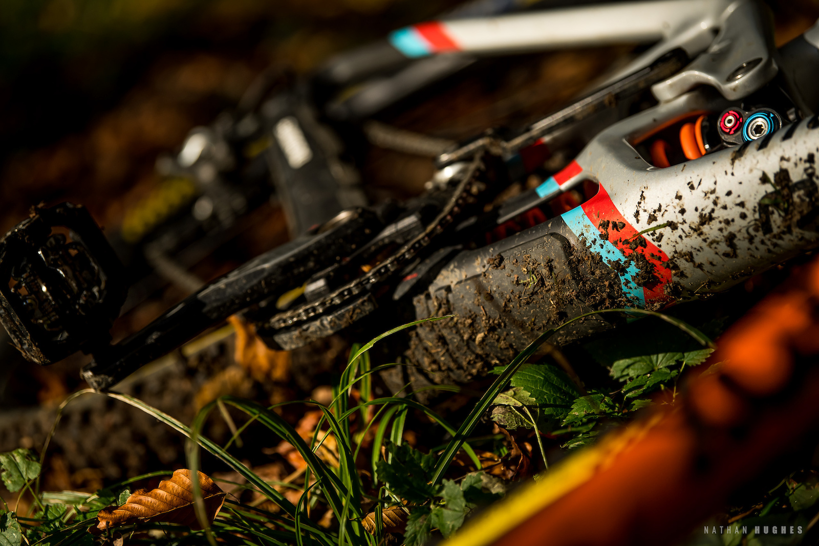 Photo Epic: The Dirt Farmer - At Home with David Trummer - Pinkbike