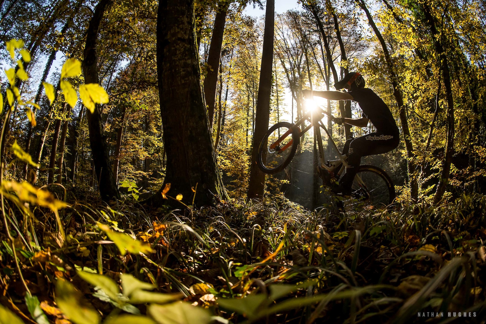Photo Epic: The Dirt Farmer - At Home with David Trummer - Pinkbike