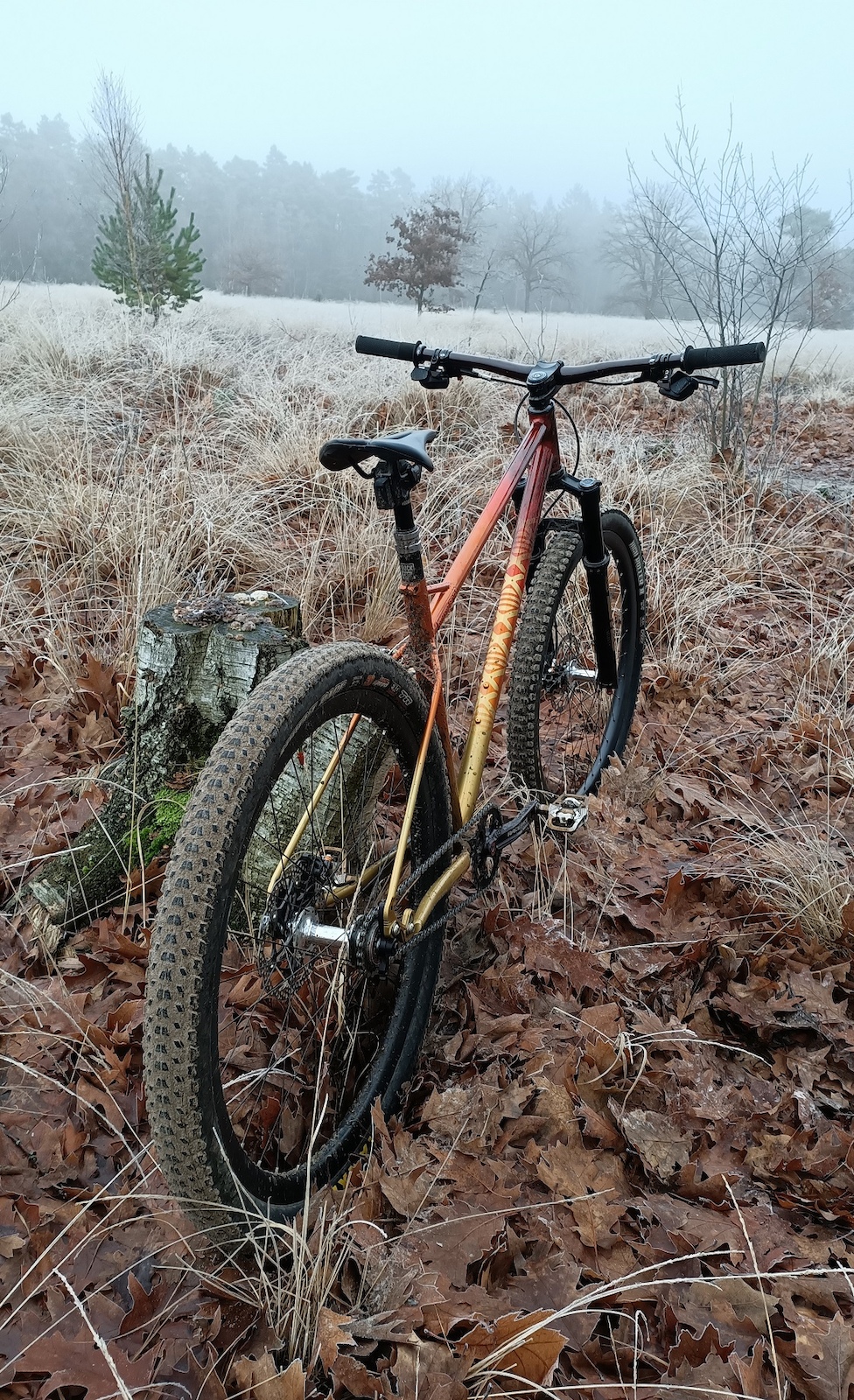 December morning first frosty day 2022
