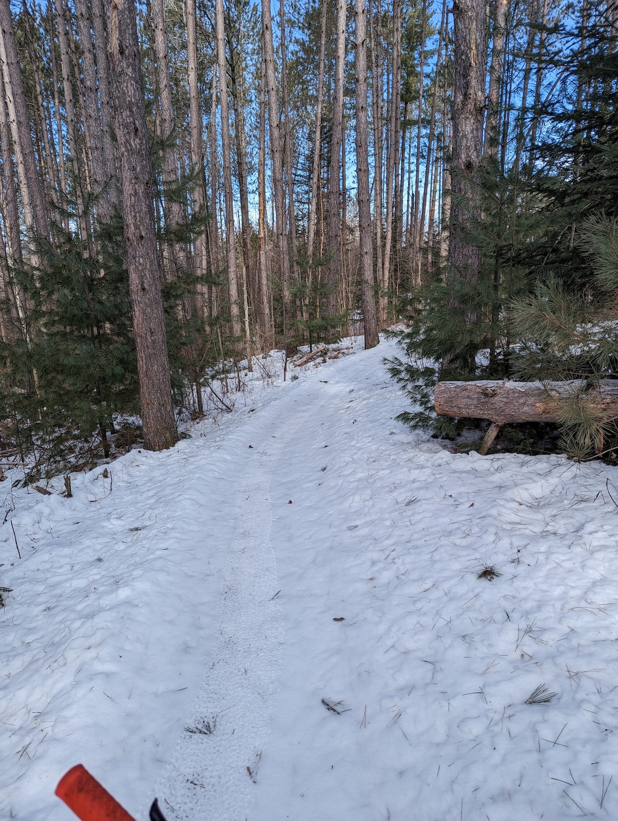 Kingdom winter fat biking