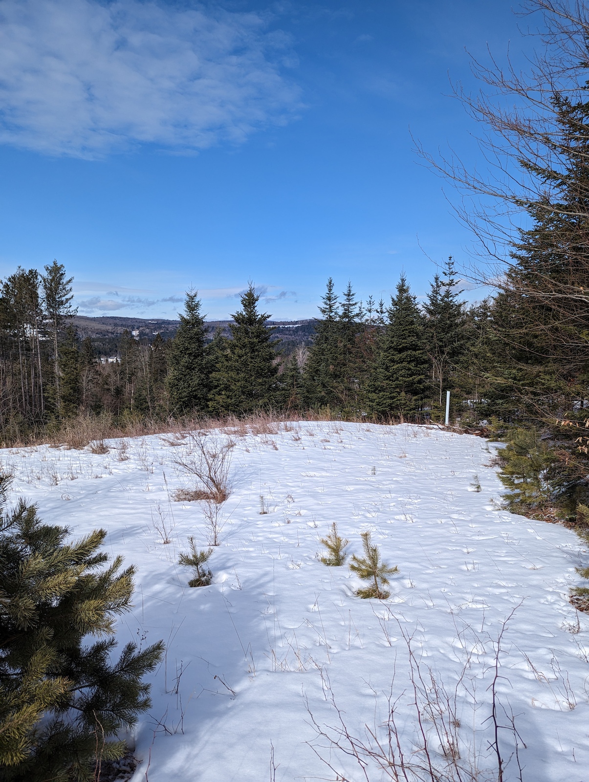 Kingdom winter fat biking