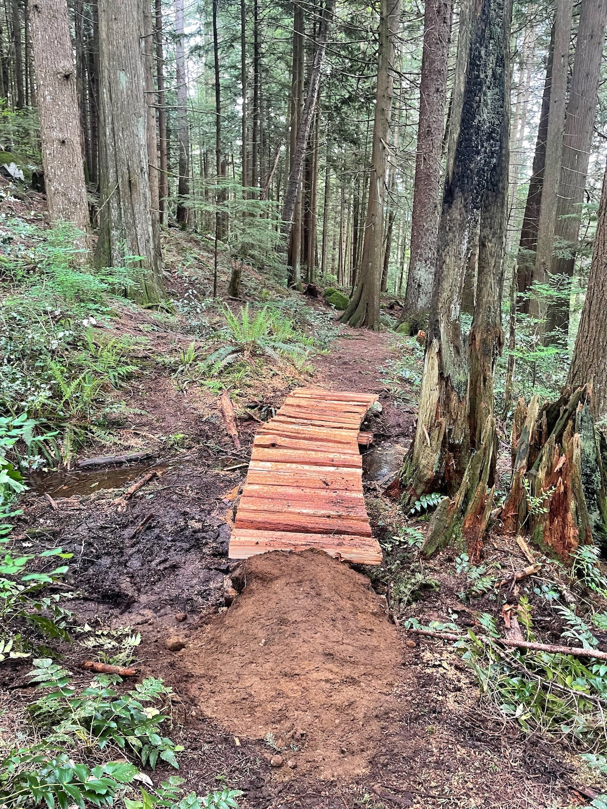 Bridge rebuild - FVMBA Trail Crew