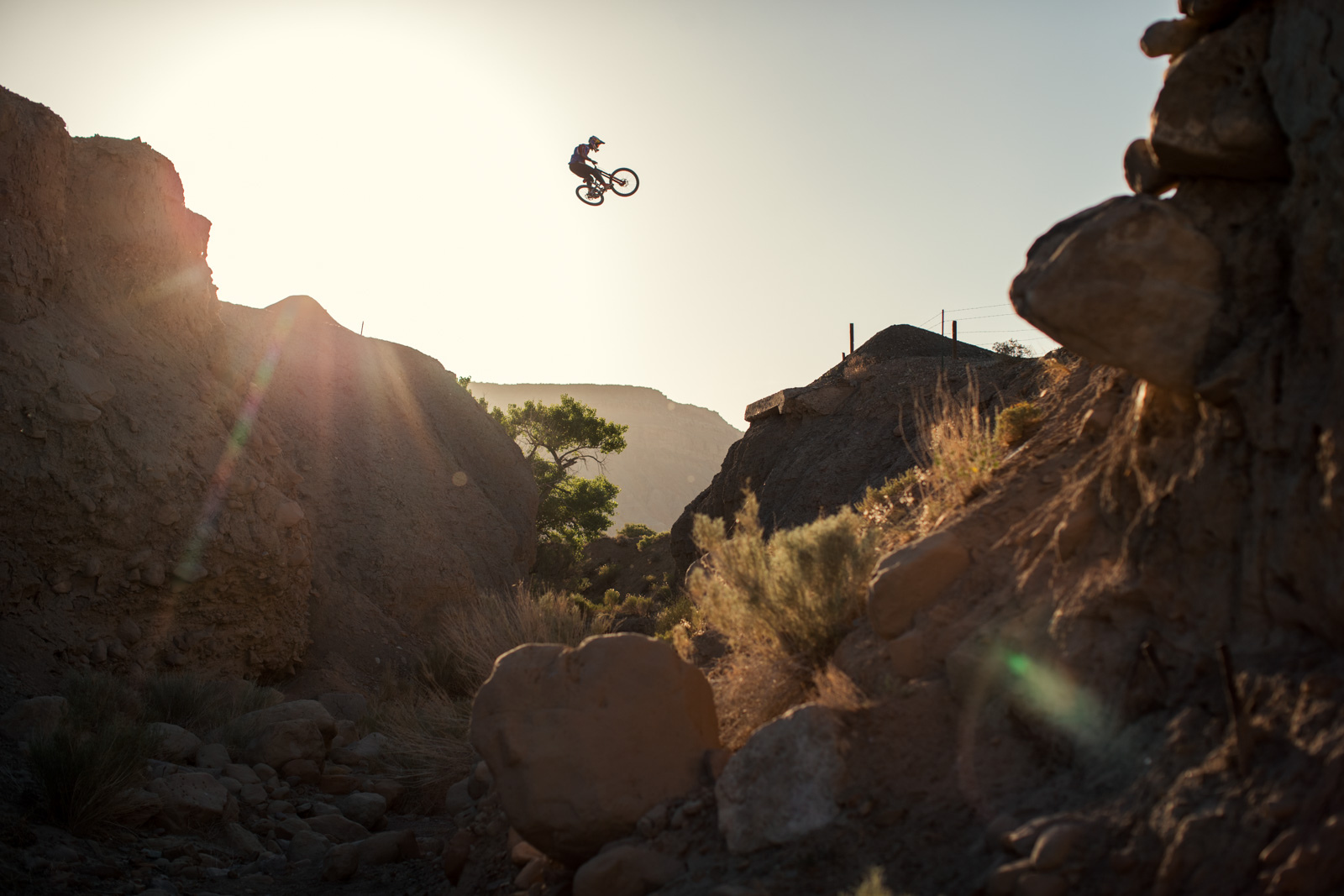'Nothing's For Free: The History of Freeride Mountain Biking' is ...