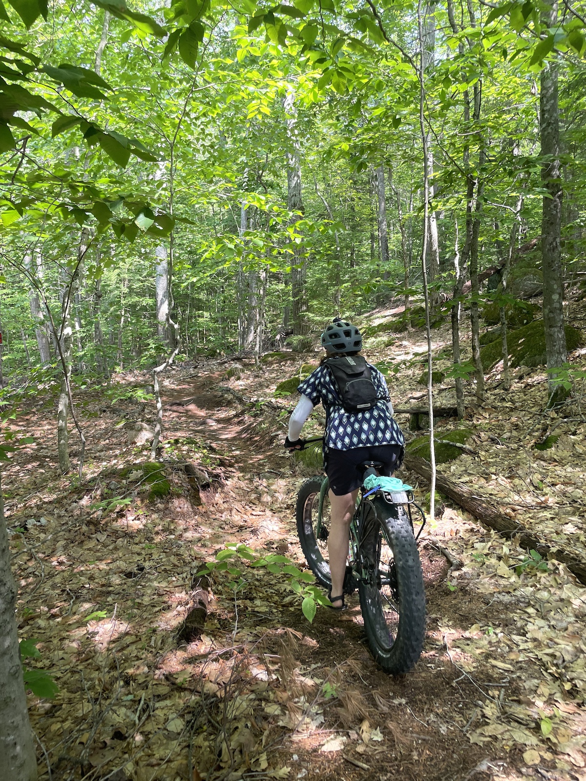 Lions Pride Trail going uphill