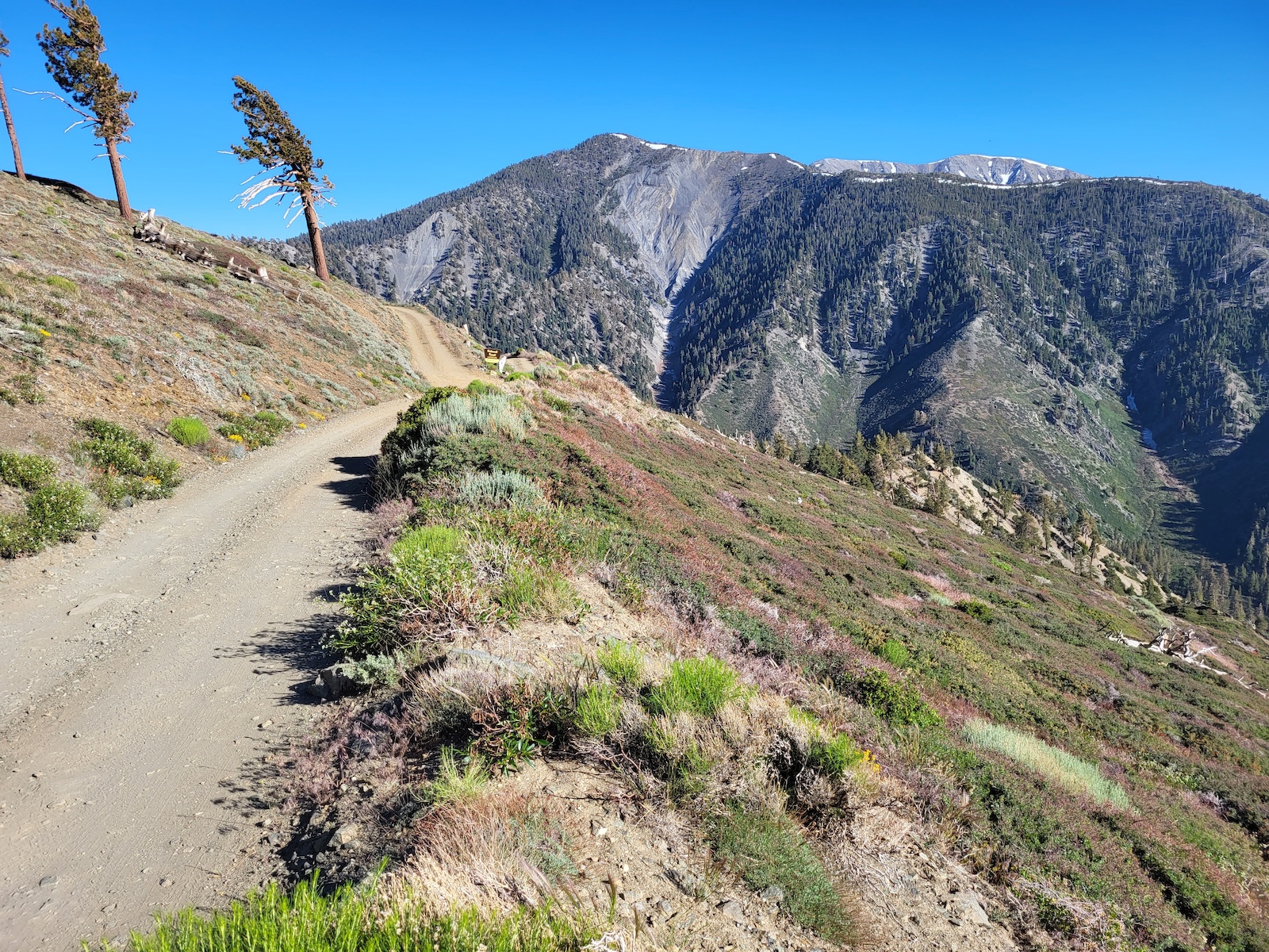 Guffy CG turn-off to the left.  Pine Mountain (C) and Mount Baldy (R) background.