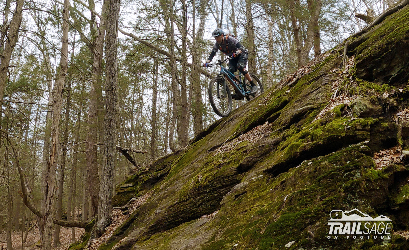 Another fantastic slab off to the side of the trail