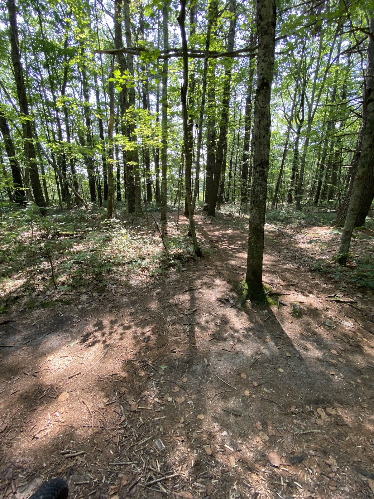 Just south of the end of Power Line Trail, looking toward the highway is the entrance to the back side entrance. Falls Loop Trail and Backside To Falls Loop trail junction.
Passage under the highway along Souhegan River to Merrimack High School.