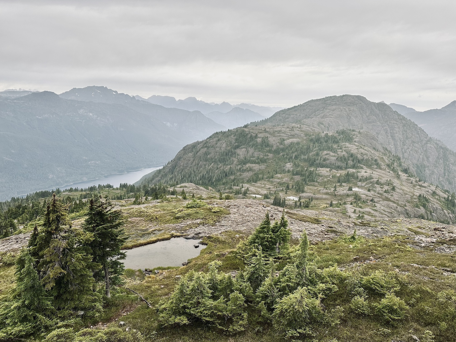 Looking NW back down trail towards Buttle Lake and Jacks Fell peak.