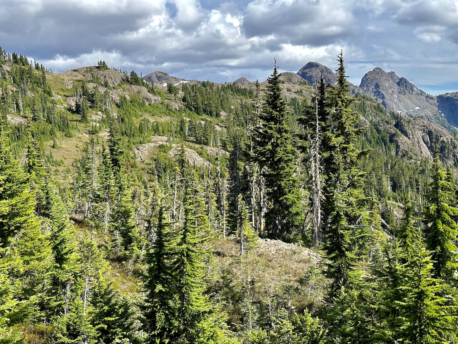 Along the trail below Jacks Fell peak.