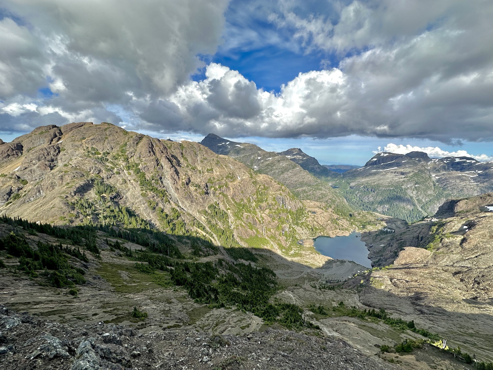 Augerpoint Mountain left, distant centre is Mount Albert Edward and then below is Ruth Masters Lake.