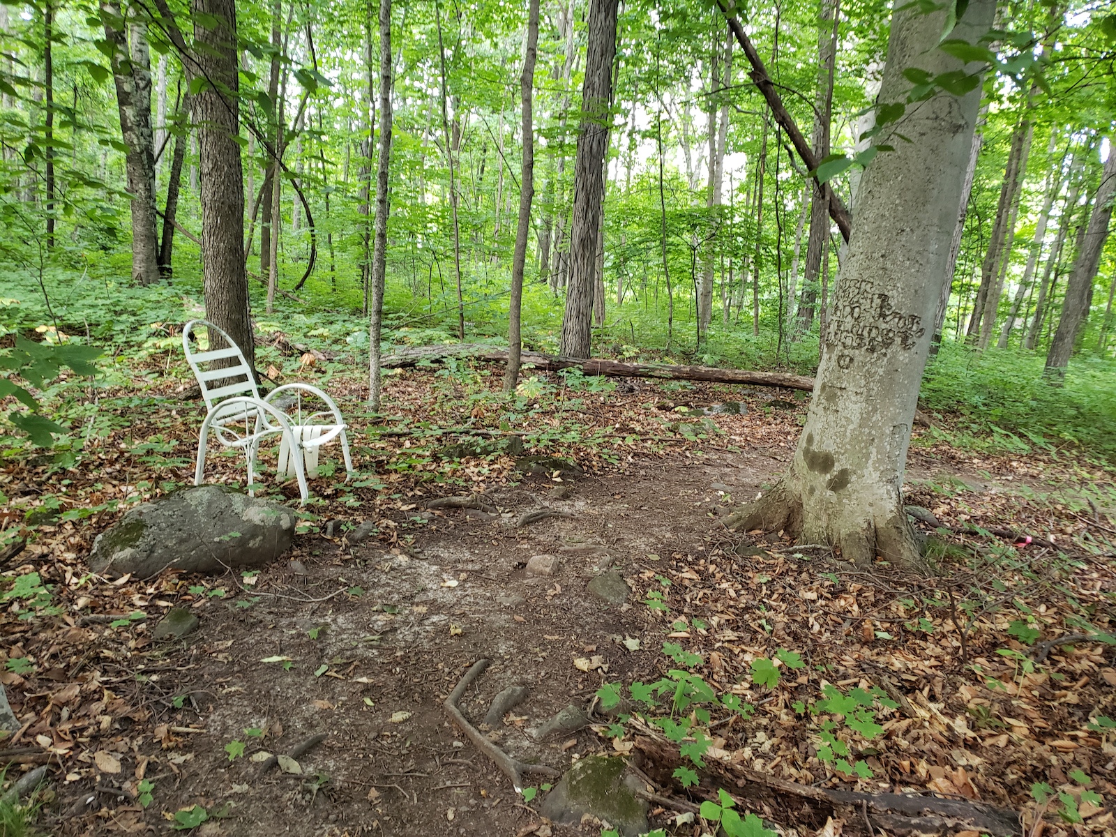 The uncomfortable chair